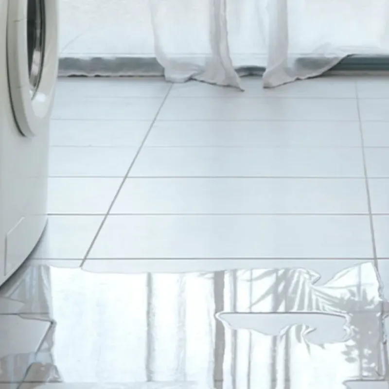 Appliance Leak Cleanup in Bowman County, ND