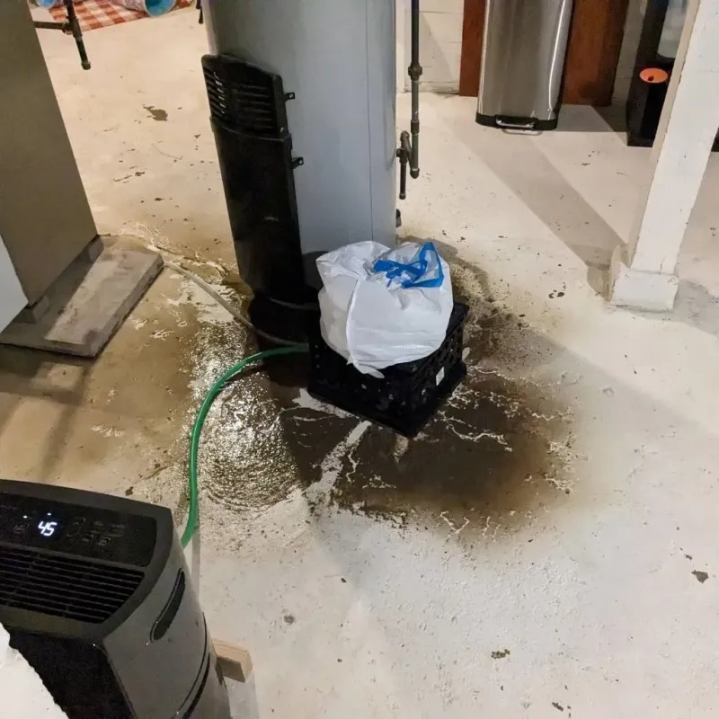 Sewage Backup Cleanup Service in Bowman County, ND